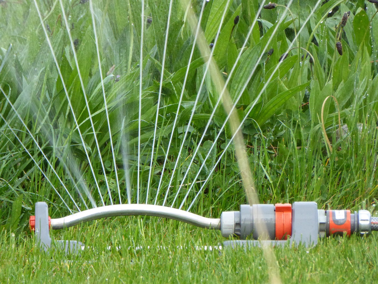 Optimale Rasenpflege im Hochsommer: Schütze deinen Rasen vor Hitze und Trockenheit. Wir teilen Tipps zur Bewässerung, Mähen und Düngung für..
